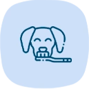 Dental Care